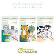 Książeczka z 24 kolorowankami zwierzęta gospodarskie Avenue Mandarine Graffy Maman-Baby